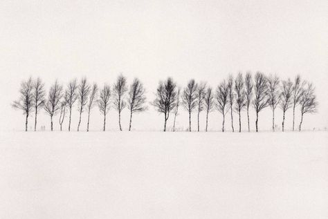 Lino Inspiration, Michael Kenna, Japan Landscape, Hokkaido Japan, Minimal Photography, Deco Nature, Landscape Photography Tips, Black And White Landscape, Landscape Features