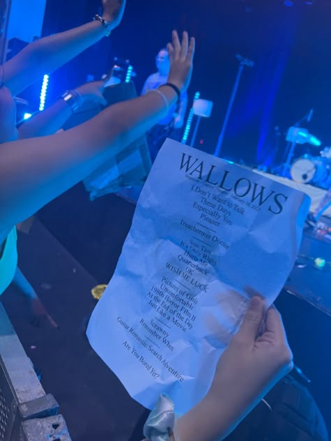 wallows, wallow, concert, setlist, party, band, sing, dance, life, excitement The Wallows Concert Outfit, Wallows Concert Aesthetic, Wallows Concert Outfit, March Vision Board, August Mood Board, Wallows Concert, Manifest Vision Board, Concert Signs, The Wallows