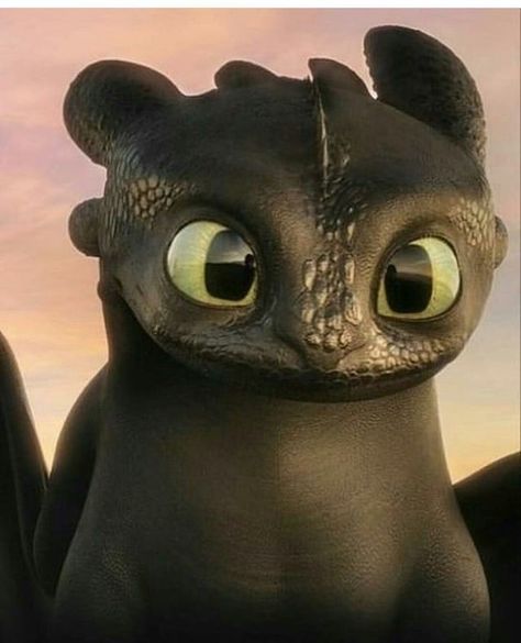 You can see Hiccup in his eyes!! 😭😍 Toothless And Stitch, Toothless Night Fury, Night Fury Dragon, Astrid Hiccup, Dragon Wallpaper Iphone, Httyd Art, Hiccup And Toothless, Toothless Dragon, Dreamworks Dragons