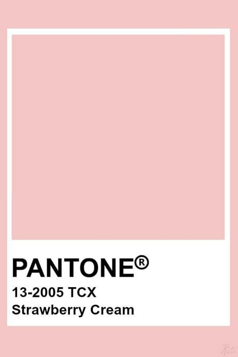 Pantone Strawberry, Color Trends 2023, Pantone Trends, Pantone Fall, Pantone Color Chart, Pantone Swatches, Pantone Colours, Pantone Palette, Pantone Colour Palettes