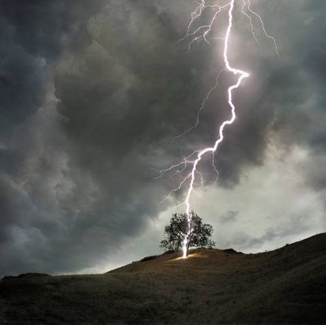 The tree that Jane and Rochester confessed their love under was struck by lightning later that night, foreshadowing the doomed nature of their relationship. Tree In A Field, Lightning Storms, Thalia Grace, Wild Weather, Stormy Sky, Single Tree, Lone Tree, Thunder And Lightning, Lightning Storm