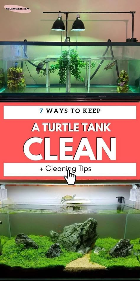 Turtle Tank Cleaning Hacks, Turtle Aquarium Design, Turtle Tank Plants, Aquatic Turtle Habitat Ideas Indoor, Aquatic Turtle Tank Ideas, Indoor Turtle Pond, Turtle Setup, Turtle Tank Setup Ideas, Aquatic Turtle Habitat