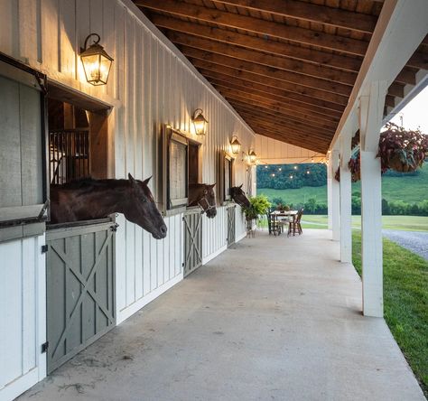 Horses looking outside their stalls Farm Layouts, Dream Barn Stables, Equestrian Property, Horse Farm Ideas, Horse Barn Ideas Stables, Horse Barn Designs, Dream Stables, Dream Horse Barns, Horse Barn Plans