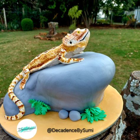 Bearded dragon cake!! All edible! Chocolate cake filled with chocolate fudge icing covered in chocolate ganache. #decadencebysumi #cake #cakedecorating #cakedesign   #trendingcakes2024 #designercakesdurban #noveltycakesdurban #kznbaker #smallbusinessdurban #cakesforallocassions #durbanbaker #supportlocalbusiness #hillcrestbaker #beardedragon #beardeddragoncake #beardeddragonsofinstagram Bearded Dragon Birthday Cake, Bearded Dragon Cake, Bearded Dragon Birthday, Dragon Cake Ideas, Lizard Cake, Dragon Birthday Cakes, Chocolate Fudge Icing, Fudge Icing, Dragon Cake