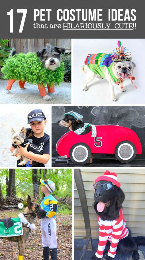 Pet Costume Ideas, Dog Costumes For Kids, Diy Pet Costumes, Pet Costumes For Dogs, Halloween Pet Costumes, Woodland Fairy Costume, Funny Pet Costumes, Dog Costume Ideas, Best Dog Costumes