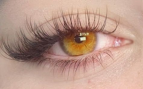 Honey Eyes, Hazel Green Eyes, Beautiful Eyes Color, Amber Eyes, Eyes Color, Aesthetic Eyes, Longer Eyelashes, Gorgeous Eyes, Yellow Eyes