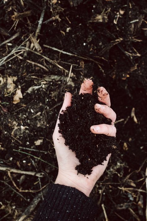 Hands In Dirt, Groundskeeper Aesthetic, Soil Aesthetic, Dirt Aesthetic, Soil Photography, Herb Photography, Book Review Journal, Magic Aesthetic, Earthworms