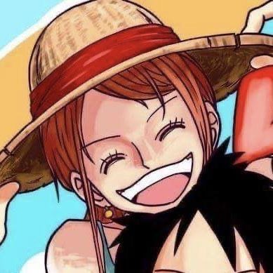 Matching Icons Discord, Luffy Nami, Luffy X Nami, Duos Icons, Scary Animals, One Piece Nami, Nami One Piece, One Peice Anime, Creative Profile Picture