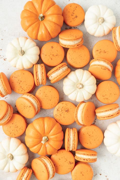 Pumpkin Spice Macarons, Pumpkin Macarons, Pie Macarons, Pumpkin Spice Cream Cheese, Pumpkin Spice Cream, Macaron Filling, Macaron Flavors, Macaron Cookies, French Macaron