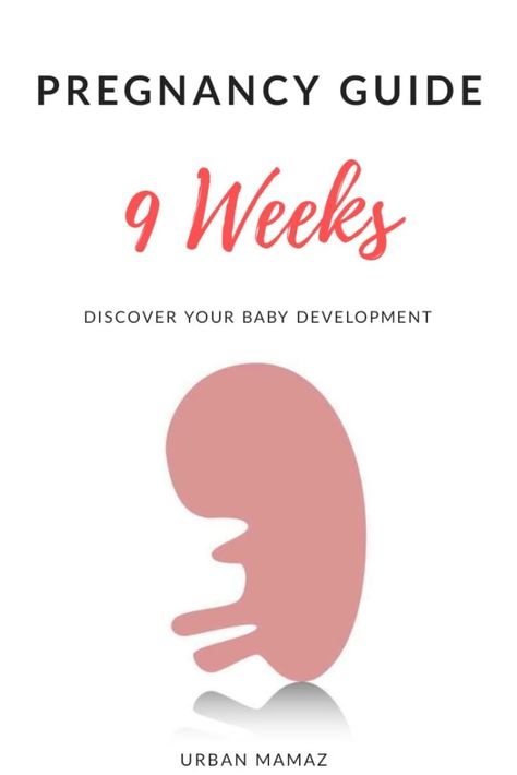 Pregnancy guide - 9 weeks. Are you pregnant? Wondering how is your baby developing? Discover your baby and pregnancy development - Week by week pregnancy guide- pregnancy trimesters, all the pregnancy stages- click here to read about 9 weeks pregnancy》 12weeks Pregnant, Week 8 Pregnancy, Pregnancy Trimesters, Pregnancy Development, 7 Weeks Pregnant, Body Changes During Pregnancy, 17 Weeks Pregnant, 9 Weeks Pregnant, 11 Weeks Pregnant