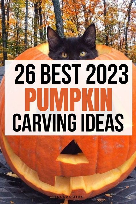 Halloween Pumpkin Carving Ideas, Diy Pumpkin Carving, Unique Pumpkin Carving Ideas, Cat Pumpkin Carving, Cute Pumpkin Carving, Halloween Pumpkin Carving, Pumkin Carving, Halloween Decor Diy, Pumpkin Carving Party