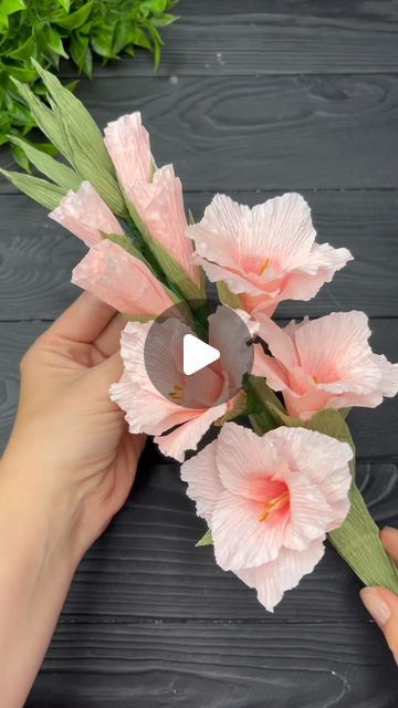 Origami Studio DIY 💥 Paper Craft Tutorials 🇺🇦🇨🇦 on Instagram: "How to make Gladiolus 💥 Crepe Paper Flowers 💥 DIY Paper Craft 💥 Home Decor Tutorial   #paperflowers #crepepaper #flowers #tutorial #diy #papercrafts #homedecor #homedecoration #flores #manualidades #vikistudiodiy" Crepe Paper Flowers Tutorial, Giant Flowers Diy, Origami Flowers Tutorial, Crepe Paper Crafts, Crepe Paper Flowers Diy, Crepe Paper Roses, Diy Christmas Ornaments Easy, Gladioli, Flowers Craft