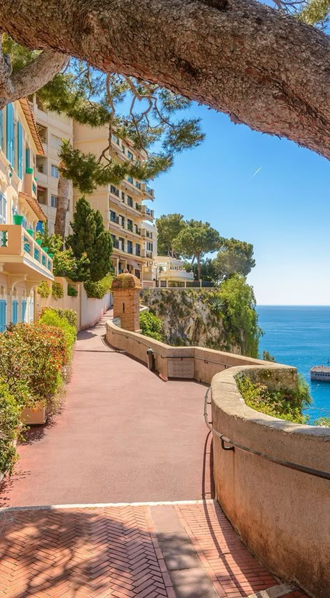 Montecarlo Monaco, Dream Travel Destinations, Vacation Places, Beautiful Places To Travel, Long Live, Beautiful Places To Visit, Live Long, Pretty Places, Luxury Vacation