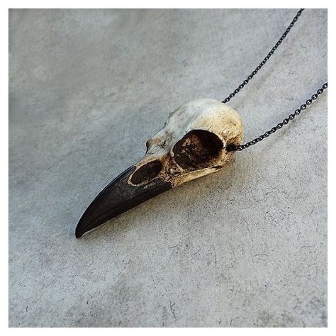 Mini Raven Skull Necklace (2.75" Small) Resin Cast Skull (Aged Finish... ❤ liked on Polyvore featuring jewelry, necklaces, bird jewelry, resin necklace, black skull necklace, mini necklace and black resin necklace Bird Skull Necklace, Halloween Raven, Raven Skull Necklace, Crow Skull, Raven Skull, Selling Handmade Items, Gothic Gifts, Bone Jewelry, Bird Skull