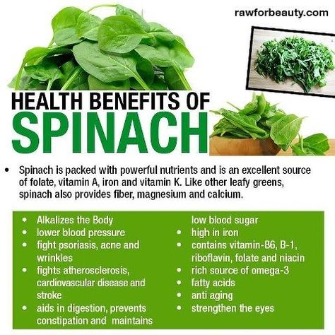 Health Benefits Of Spinach | Spinach is a superfood and has … | Flickr Health Benefits Of Spinach, Benefits Of Spinach, Fitness Smoothies, Food School, Spinach Benefits, Tomato Nutrition, Calendula Benefits, Fruit Health Benefits, Nature Food