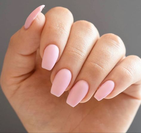 #nails #nailsofinstagram #nailsofinstagram #nailpolish #matte #mattenails #pinknails #naildesigns Matte Pink Nails, Short Coffin Nails, Simple Acrylic Nails, Her Nails, Acrylic Nails Coffin Short, Summer Acrylic Nails, Short Acrylic Nails Designs, Short Acrylic, Pink Acrylic Nails