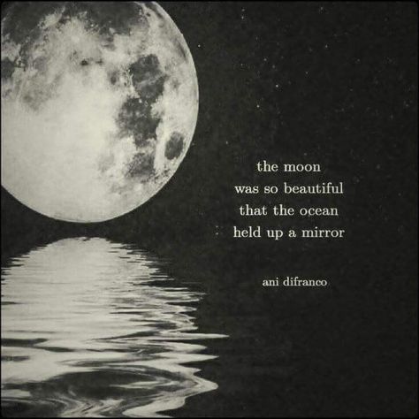 Moon And Star Quotes, Regnul Animal, Now Quotes, Moon Quotes, Poetic Quote, Star Quotes, Cocoppa Wallpaper, The Moon Is Beautiful, Look At The Moon