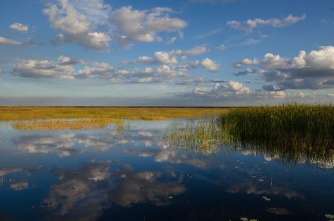 Florida’s blessed with some great lakes, but none are so impressive as the greatest of al. Here's how to enjoy a scenic drive around Lake Okeechobee. Okeechobee Florida, Florida Day Trips, Sweet Shots, Road Trip America, Route 66 Trip, Whitsunday Islands, Florida Road Trip, Fishing Bucket, Florida Map