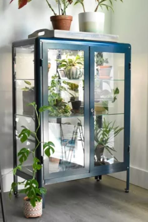 There's no denying how charming IKEA greenhouse cabinets are. If you have one or are interested in creating your own, here are 7 products we recommend having. #IKEA #GreenhouseCabinet #Plants #PlantCabinet #TheSpruce Ikea Plant Cabinet Greenhouse, Plant China Cabinet, Indoor Plant Enclosure, Ikea Green House Cabinet, Ikea Cabinet Plants, Glass Cabinet For Plants, Ikea Curio Cabinet, Ikea Indoor Greenhouse, Greenhouse Ikea Cabinet