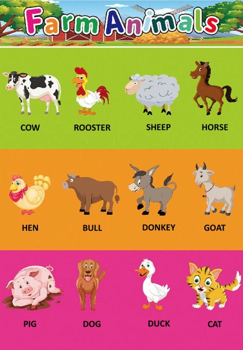 Animals Chart Kindergarten, Printable Animals Pictures, Animals Learning Activities, Domestic Animals Chart For Kids, Animal Chart For Preschool, Farm Animals For Kindergarten, Preschool Charts Printable, Farm Animals Activities For Kindergarten, Animal Chart For Kids