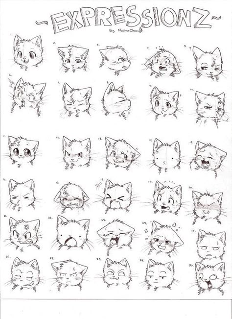 Cat Emotions Drawing, Cartoon Cat Reference, Cute Cat Animation, Cat Hand Drawing, Cartoon Cat Drawing, Cat Expressions, Cartoon Expression, Cat Drawing Tutorial, Cats Art Drawing