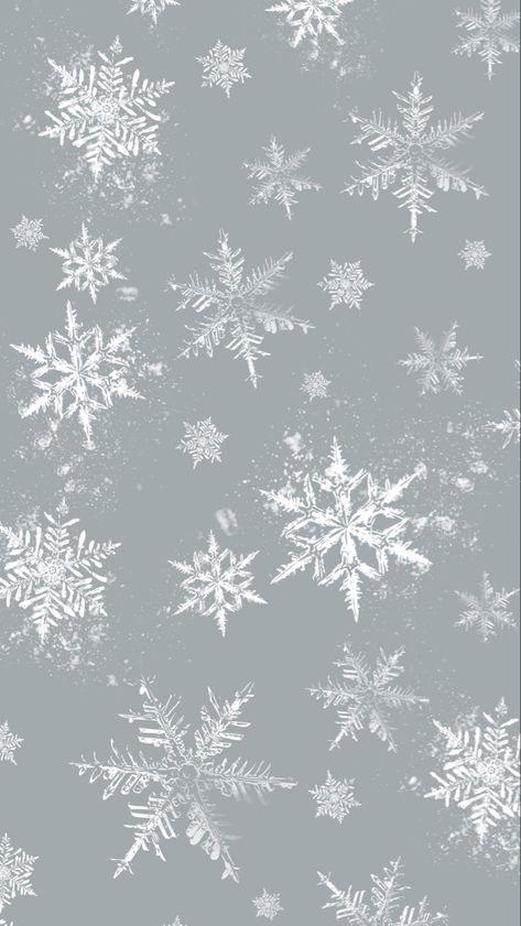 A phone wallpaper with an icy blue background with white delicate snowflakes in different sizes around the screen. Winter Theme Wallpaper Aesthetic, Winter Wonderland Background Wallpapers, Winter Wonderland Aesthetic Wallpaper, Blue And White Christmas Aesthetic, Christmas Asthetics Wallpaper Iphone, January Iphone Wallpaper Backgrounds, Aesthetic Background Christmas, White Christmas Phone Wallpaper, January Background Aesthetic