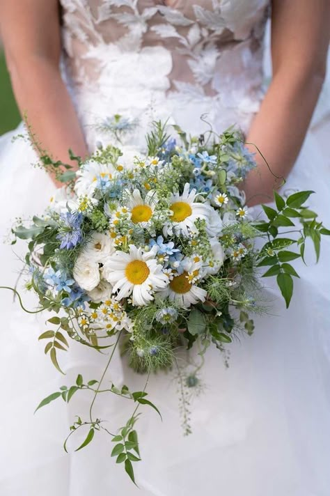 Daisy And Blue Flower Bouquet, Daisy Wedding Bouquet Blue, Blue And Green Wildflower Bouquet, Daisy Inspired Wedding, Natural Wildflower Bouquet, Daisy Bridal Bouquet Blue, Wedding Bouquet Garden Style, Daisy Flower Bouquet Wedding, Daisy And Blue Bouquet