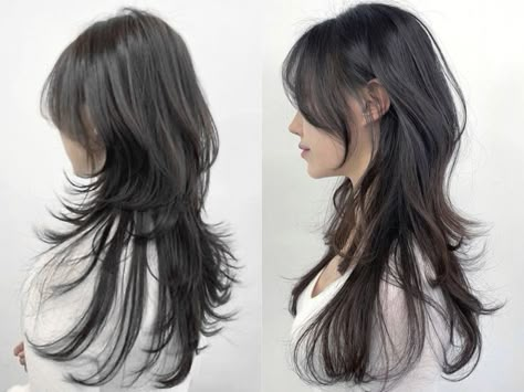 Wolfcut Hair Long Reference, Jelly Fish Haircut Long Korean, Jellyfish Haircut Long Straight, Hush Cut Back View, Jellyfish Wolf Cut Hair, Hush Cut Long Hair Straight, Long Hair Jellyfish Haircut, Jelly Fish Cut Long, Hushcut Hair Long