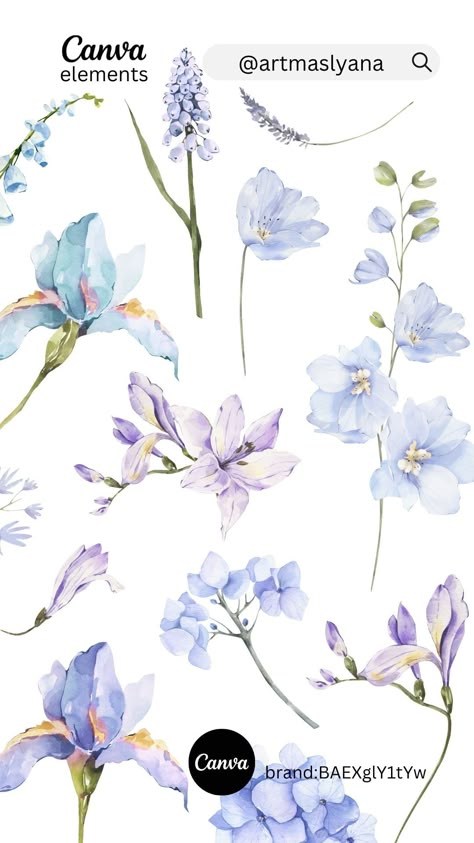 Digital Watercolor Flowers, Canva Flower Elements Keyword, Canva Flower Elements, Canva Elements Free, Canva Keywords Elements, Canva Free Elements, Canva Graphics, Canva Guide, Flower Violet