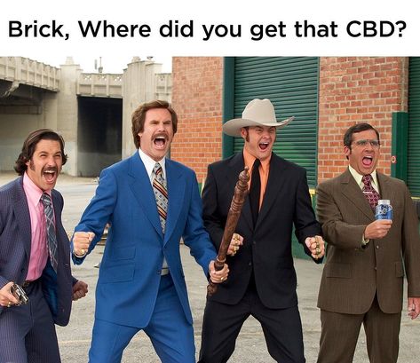 CBDfx’s Instagram photo: “Good friends give each other the gift of CBD 👊💚 That’s why when you refer a friend to sign up to our newsletter you’ll get $20 in POINTS…” Anchorman Movie, Zach Galifianakis, Robert Englund, Will Poulter, Paula Patton, Ron Burgundy, Patrick Wilson, Simon Pegg, Morena Baccarin