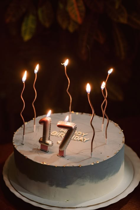 Happy Birthday 17, 17 Birthday Cake, Birthday 17, 17 Birthday, Idea Birthday, Birthday Inspo, Pretty Birthday Cakes, Cute Birthday Cakes, 17th Birthday