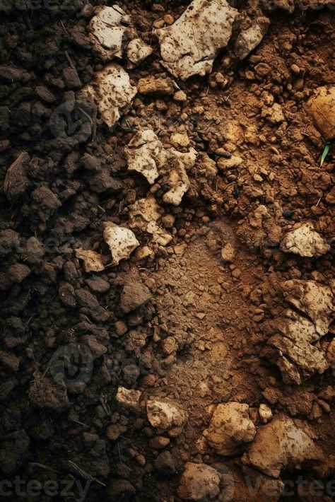 AI Generative soil texture background Soil Background, Vector Animation, Soil Texture, Background Background, Texture Background, Textured Background, Soil, Close Up, Vector Free