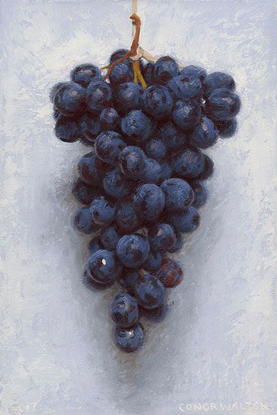 Istoria Artei, Bunch Of Grapes, John Charles, Grape Bunch, Gcse Art, Chiaroscuro, Make Color, Light And Shadow, Figurative