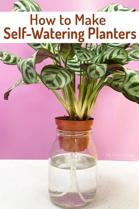 How to Make a Self Watering Planter - My Little Jungle Inside House Plants, Diy Planters Indoor, Water Plants Indoor, Plants Grown In Water, Self Watering Plants, Indoor Water Garden, Planter Diy, Self Watering Pots, Plant Hacks