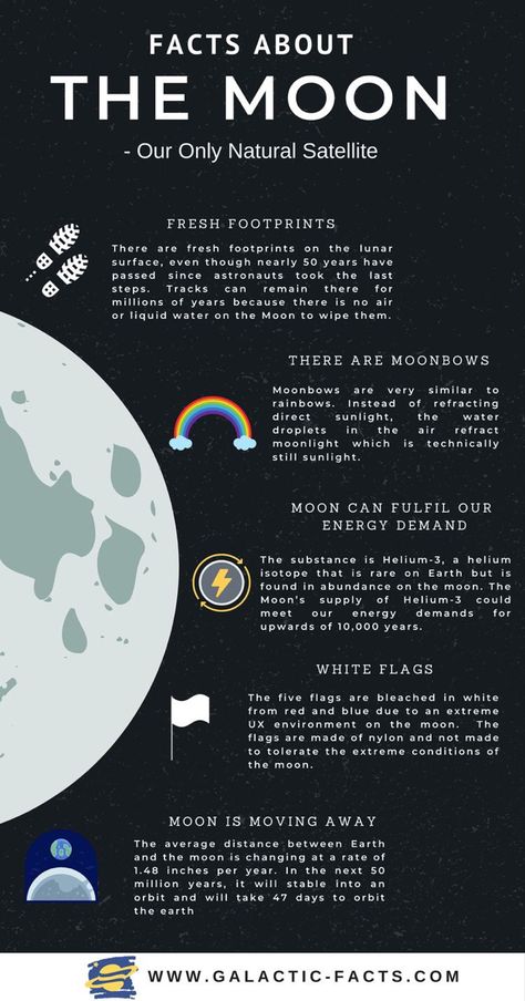 Facts About The Moon, Neptune Facts, Solar System Facts, Moon Facts, Moon Rings, About Moon, Cool Facts, Astronomy Facts, Astronomy Science