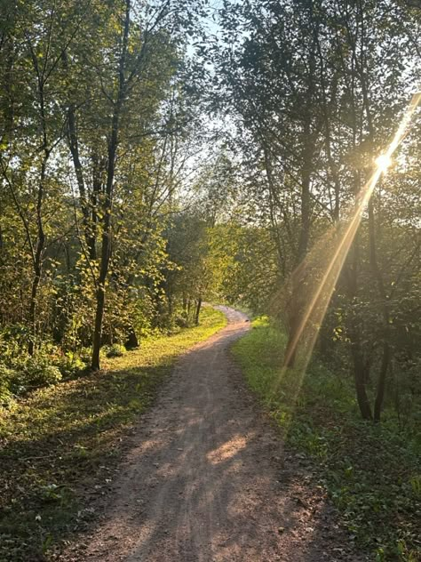 summer forests  nature aesthetic Happy Nature Aesthetic, Forest Life Aesthetic, Spending Time In Nature Aesthetic, Clean Nature Aesthetic, Forest Trail Aesthetic, Pretty Forest Aesthetic, Peaceful Nature Aesthetic, Alessandra Core, Forests Aesthetic