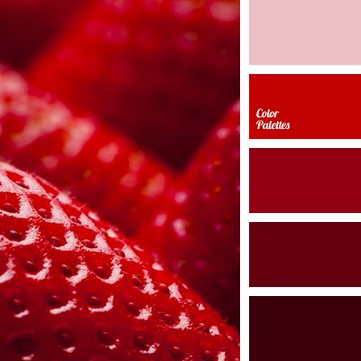 Color Palette #3185 | Color Palette Ideas | Bloglovin’ Flat Bedroom, In Color Balance, Red Palette, Berry Tones, Anniversary Cookies, Red Color Palette, Color Generator, Color Palette Ideas, Red Tone