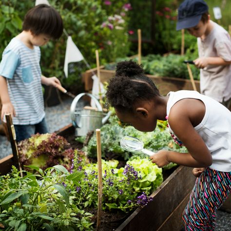 Sensory Garden For Kids, Kids Gardening Ideas, Community Garden Ideas, School Garden Ideas, Kids Gardening Activities, Family In Garden, Gardens For Kids, Teaching Garden, Kindergarten Garden