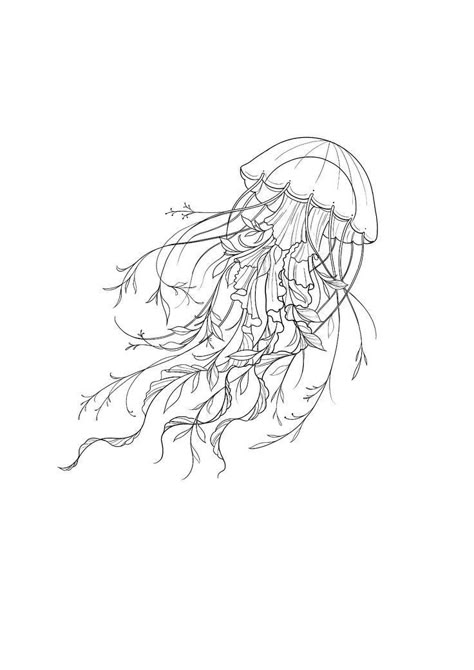 Body Tattoo Design Drawings, Jellyfish Design Tattoo, Jellyfish And Whale Tattoo, Sealife Spine Tattoo, Jellyfish Flash Tattoo, Jelly Tattoo Fish, Jellyfish Tattoo Designs For Women, Jellyfish Tattoo Women, Large Jellyfish Tattoo