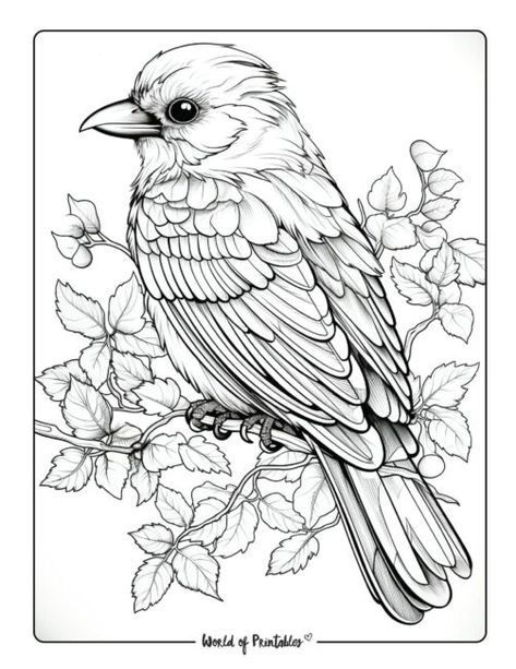 Manga Coloring Book, Heart Coloring Pages, Bird Coloring Pages, Online Coloring Pages, Fantasy Dragon, Animal Coloring Pages, Free Coloring Pages, Printable Coloring Pages, Free Coloring