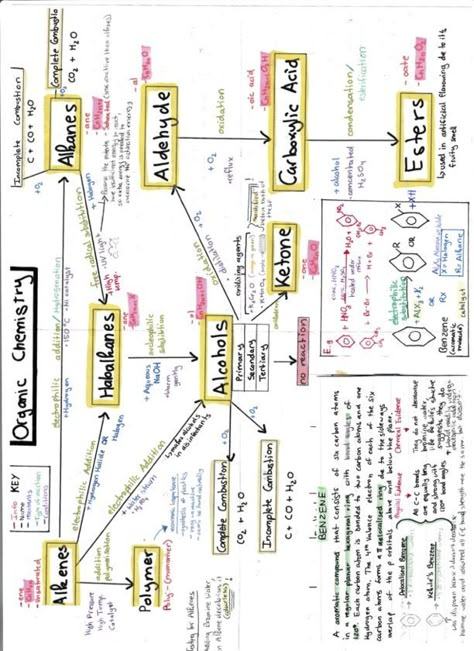 Organic Chemistry can be confusing... here's a visual mind map with everything you need to know. (p.s. don't forget the functional groups and key reactions) Organic Chemistry Mind Map, Chemistry Mind Map, Mindmap Ideas, Organic Chemistry Notes, Organic Chemistry Reactions, Biochemistry Notes, Neet Notes, Organic Chemistry Study, Concept Maps