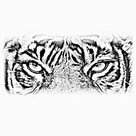 Tiger Eyes Tattoo Stencil, Tiger Eyes Tattoo Design, Berserk Tattoos, Gates Of Heaven Tattoo, Tiger Eyes Tattoo, Tiger Face Tattoo, Tiger Head Tattoo, Eye Stencil, Eyes Tattoo