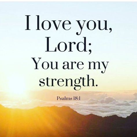 Psalms 18:1 I love you,Lord, my strength. Bible Strength, Prayer Blanket, I Love You Lord, I Love You God, My Strength, Bible Quote, Inspirational Bible Quotes, Christian Encouragement, God Prayer