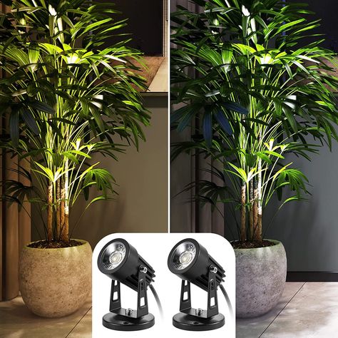 Indoor Green Plants, Indoor Plant Lights, Led Spot Lights, Tall Indoor Plants, Indoor Tree, Spotlight Lamp, Plants Art, Living Room Plants, Indoor Trees