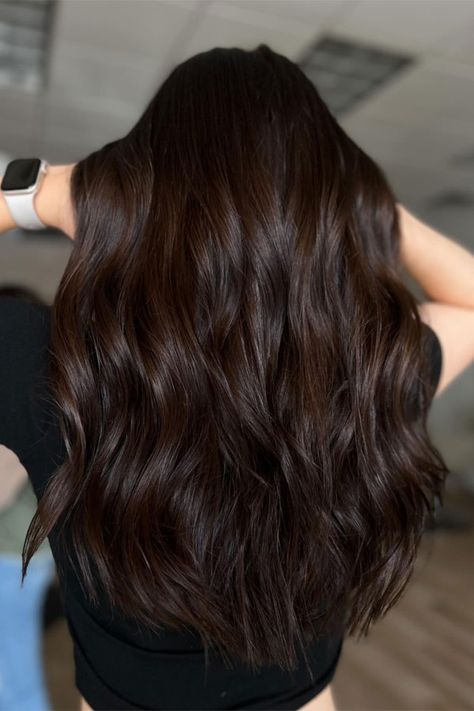 Dark Chocolate Brown Hair No Highlights, Dark Cool Toned Hair, Black Hair To Brown, Black Hair With Auburn Balayage, Medium Length Chocolate Brown Hair, Natural Hair Dye Ideas For Black Hair, Heavy Balayage On Dark Hair, Wood Brown Hair, Cinnamon Spice Brunette Hair