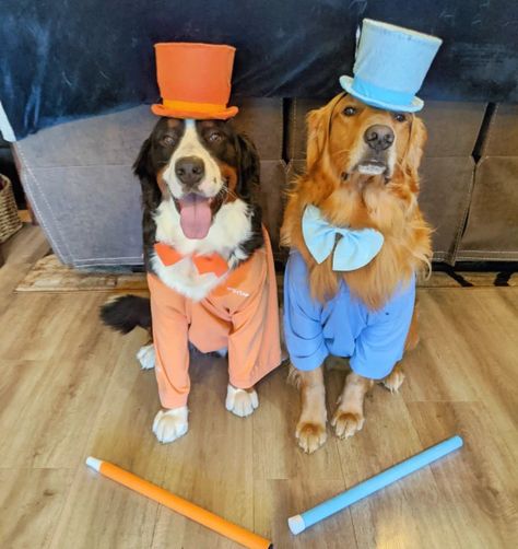 Fun Dog Halloween Costumes, Funny Big Dog Costumes, Matching Dog Halloween Costumes For 2 Dogs, Creative Dog Costumes Diy, Cute Puppy Halloween Costumes, Group Dog Costumes, Matching Dog Costumes For 2 Dogs, Easy Diy Dog Costumes For Halloween, 2 Dog Halloween Costumes