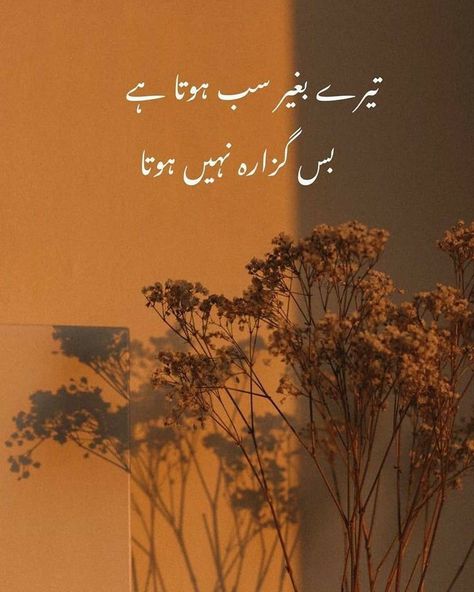 Haidar Ali, Poetry Wallpaper, Romantic Poetry Quotes, Love Quotes In Urdu, Poetry Pic, Urdu Funny Poetry, Love Romantic Poetry, Love Poetry Images, Funny Poetry