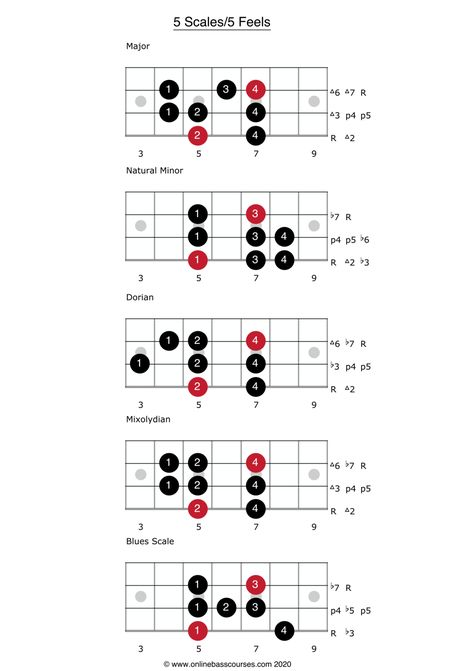 Bass Scales, Bass Tablature, Bass Chords, Guitar Scales Charts, Bass Guitar Notes, Bass Guitar Scales, Bass Notes, Learn Bass Guitar, Bass Guitar Chords