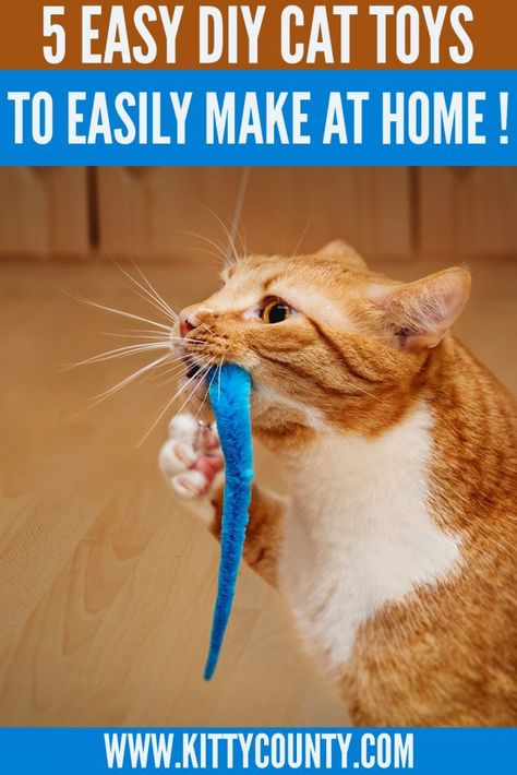 5 DIY Cat Toys Every Cat Parent Needs To Create Now !! | Kitty County Katt Diy, Cat Diy Crafts, Handmade Cat Toys, Homemade Cat Toys, Crochet Cat Toys, Diy Pet Toys, Diy Cat Toys, Pet Tips, Cats Diy Projects