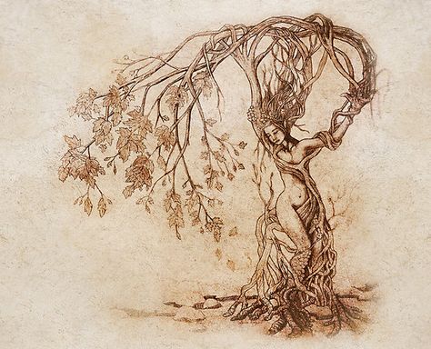 The Hedge Witch - A solitary herbalist and healer, who lived at the (h)edge of town. Spiritual, usually accompanied by birds. Describes my great-great-great-grandmother exactly. Willow Tree Tattoos, Geniale Tattoos, Tree Woman, Tree Of Life Tattoo, Hedge Witch, Concept Ideas, Tattoo Life, Tree Illustration, Tree Drawing